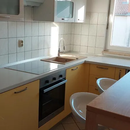 Apartment Gagulic *