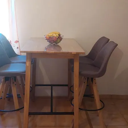 Apartment Gagulic *