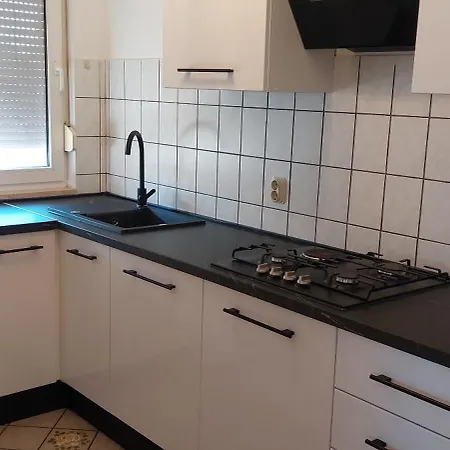 Apartment Gagulic *